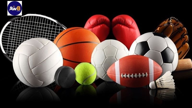 Các Môn Thể Thao Hấp Dẫn Nhất Hiện Nay Có Dịch Vụ Cá Cược